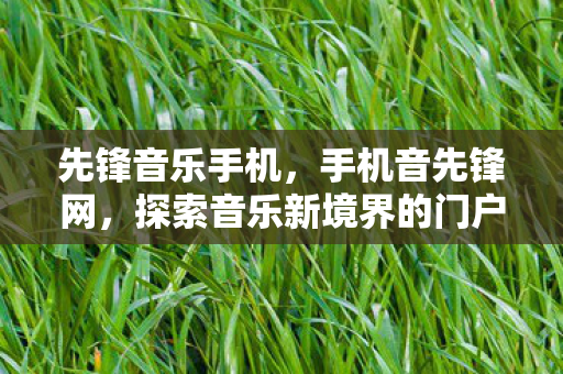 先锋音乐手机，手机音先锋网，探索音乐新境界的门户
