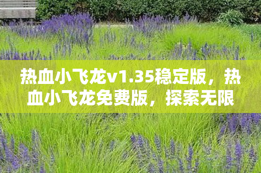 热血小飞龙v1.35稳定版,热血小飞龙免费版,探索无限可能的冒险之旅 热血小飞龙v1.35稳定版,热血小飞龙免费版,探索无限可能的冒险之旅