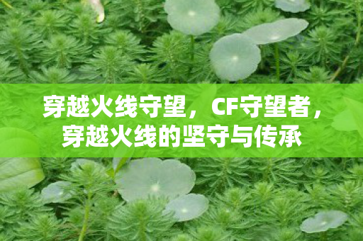 穿越火线守望，CF守望者，穿越火线的坚守与传承