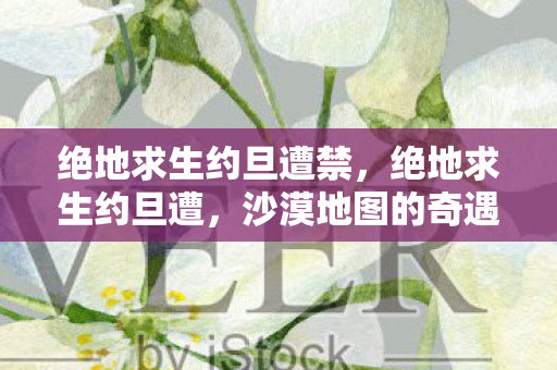 绝地求生约旦遭禁,绝地求生约旦遭,沙漠地图的奇遇与挑战 绝地求生约旦遭禁,绝地求生约旦遭,沙漠地图的奇遇与挑战