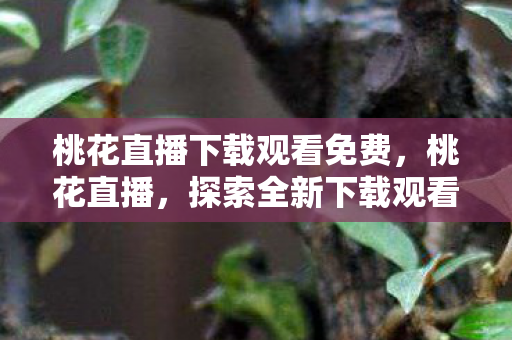 桃花直播下载观看免费，桃花直播，探索全新下载观看体验