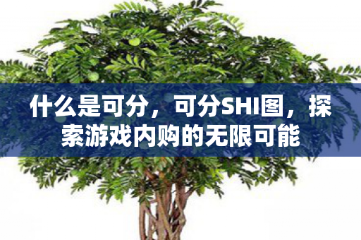 什么是可分，可分SHI图，探索游戏内购的无限可能