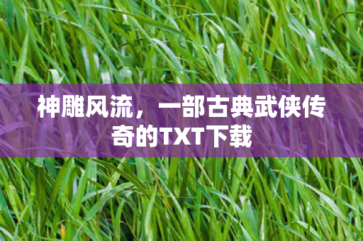 神雕风流,一部古典武侠传奇的TXT下载 神雕风流,一部古典武侠传奇的TXT下载