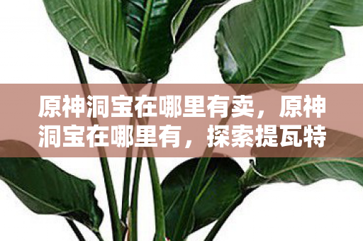 原神洞宝在哪里有卖，原神洞宝在哪里有，探索提瓦特大陆的神秘宝藏