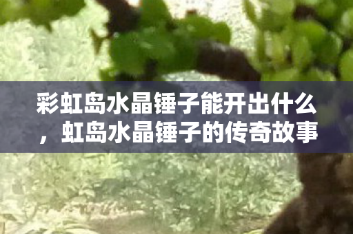 彩虹岛水晶锤子能开出什么,虹岛水晶锤子的传奇故事 彩虹岛水晶锤子能开出什么,虹岛水晶锤子的传奇故事