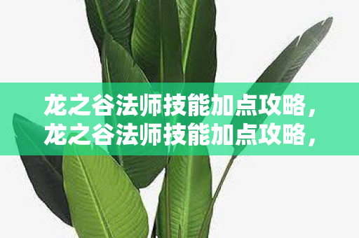 龙之谷法师技能加点攻略,龙之谷法师技能加点攻略,打造高效战斗法师 龙之谷法师技能加点攻略,龙之谷法师技能加点攻略,打造高效战斗法师