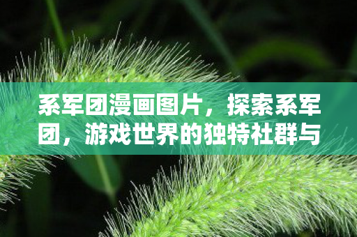 系军团漫画图片,探索系军团,游戏世界的独特社群与生态 系军团漫画图片,探索系军团,游戏世界的独特社群与生态