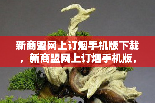 新商盟网上订烟手机版下载，新商盟网上订烟手机版，便捷高效的烟草订购新体验