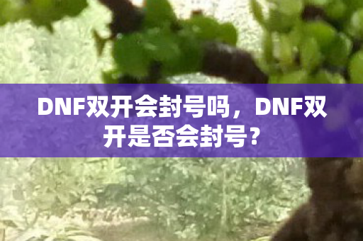 DNF双开会封号吗,DNF双开是否会封号? DNF双开会封号吗,DNF双开是否会封号?