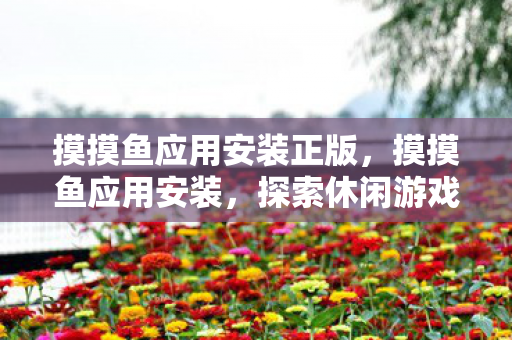 摸摸鱼应用安装正版，摸摸鱼应用安装，探索休闲游戏的便捷入口