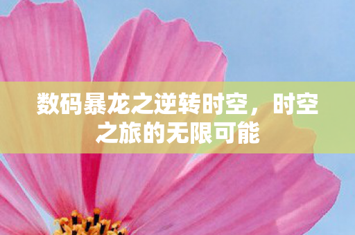 数码暴龙之逆转时空,时空之旅的无限可能 数码暴龙之逆转时空,时空之旅的无限可能
