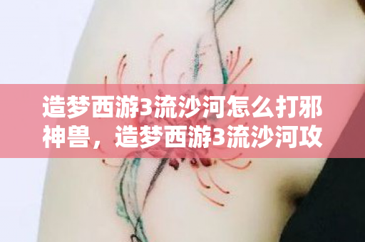 造梦西游3流沙河怎么打邪神兽，造梦西游3流沙河攻略，高效击败BOSS的实战策略