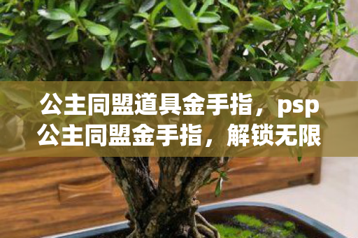 公主同盟道具金手指,psp公主同盟金手指,解锁无限可能的冒险之旅 公主同盟道具金手指,psp公主同盟金手指,解锁无限可能的冒险之旅