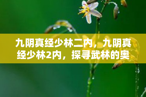 九阴真经少林二内，九阴真经少林2内，探寻武林的奥秘
