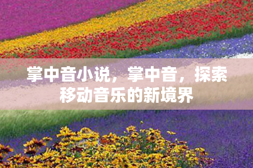 掌中音小说，掌中音，探索移动音乐的新境界
