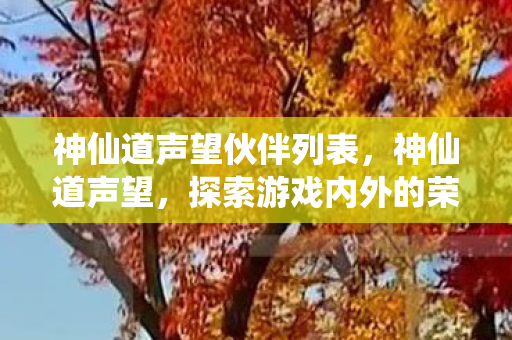 神仙道声望伙伴列表,神仙道声望,探索游戏内外的荣耀之路 神仙道声望伙伴列表,神仙道声望,探索游戏内外的荣耀之路