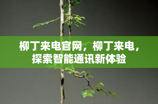 柳丁来电官网,柳丁来电,探索智能通讯新体验 柳丁来电官网,柳丁来电,探索智能通讯新体验