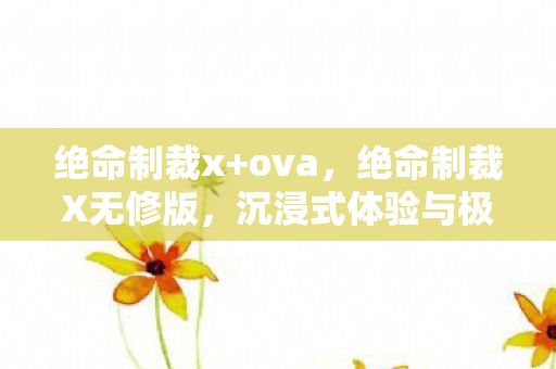 绝命制裁x+ova，绝命制裁X无修版，沉浸式体验与极致战斗快感