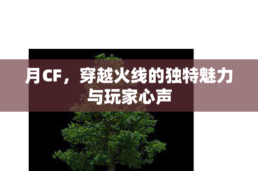 月CF,穿越火线的独特魅力与玩家心声 月CF,穿越火线的独特魅力与玩家心声