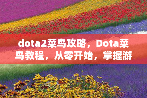 dota2菜鸟攻略,Dota菜鸟教程,从零开始,掌握游戏基础 dota2菜鸟攻略,Dota菜鸟教程,从零开始,掌握游戏基础