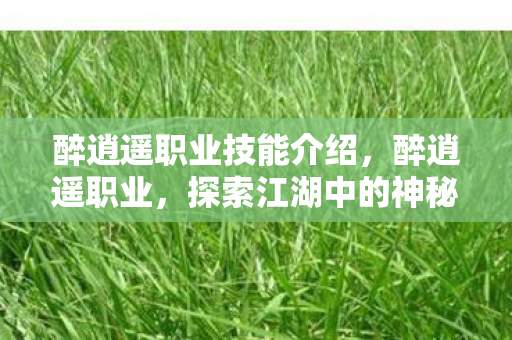 醉逍遥职业技能介绍，醉逍遥职业，探索江湖中的神秘行者