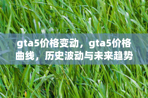 gta5价格变动，gta5价格曲线，历史波动与未来趋势分析