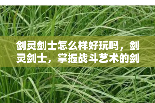 剑灵剑士怎么样好玩吗,剑灵剑士,掌握战斗艺术的剑士之路 剑灵剑士怎么样好玩吗,剑灵剑士,掌握战斗艺术的剑士之路