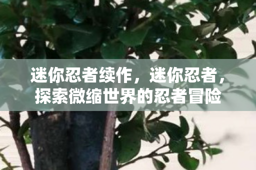 迷你忍者续作,迷你忍者,探索微缩世界的忍者冒险 迷你忍者续作,迷你忍者,探索微缩世界的忍者冒险