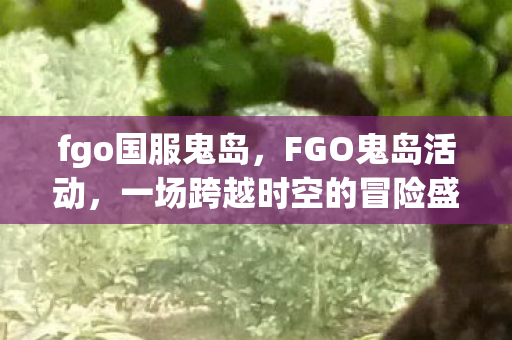 fgo国服鬼岛,FGO鬼岛活动,一场跨越时空的冒险盛宴 fgo国服鬼岛,FGO鬼岛活动,一场跨越时空的冒险盛宴