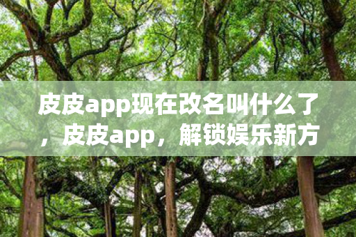 皮皮app现在改名叫什么了,皮皮app,解锁娱乐新方式,打造个性化互动体验 皮皮app现在改名叫什么了,皮皮app,解锁娱乐新方式,打造个性化互动体验