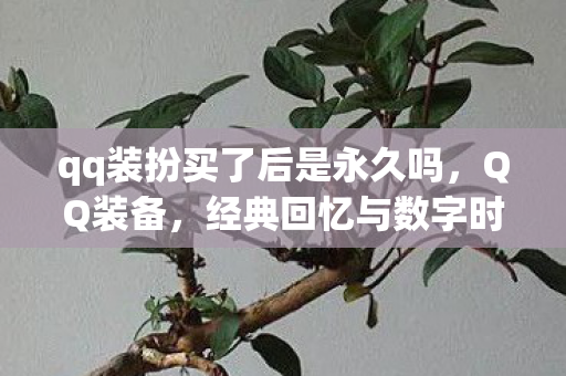 qq装扮买了后是永久吗,QQ装备,经典回忆与数字时代的碰撞 qq装扮买了后是永久吗,QQ装备,经典回忆与数字时代的碰撞