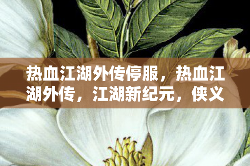 热血江湖外传停服，热血江湖外传，江湖新纪元，侠义再续