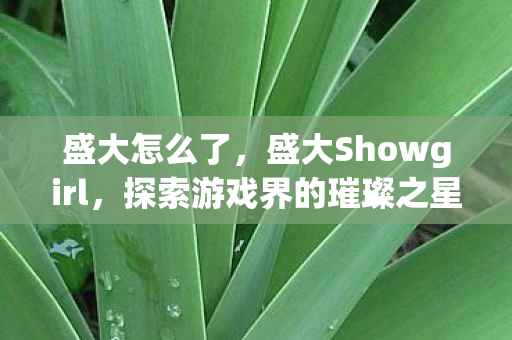 盛大怎么了,盛大Showgirl,探索游戏界的璀璨之星 盛大怎么了,盛大Showgirl,探索游戏界的璀璨之星