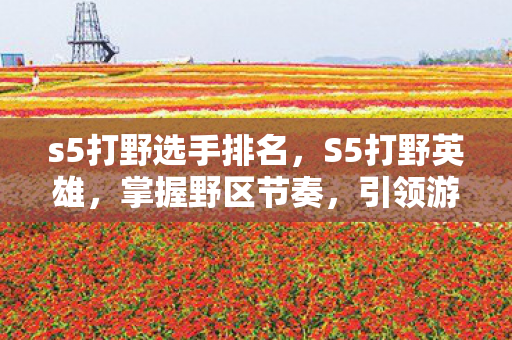 s5打野选手排名,S5打野英雄,掌握野区节奏,引领游戏胜利 s5打野选手排名,S5打野英雄,掌握野区节奏,引领游戏胜利
