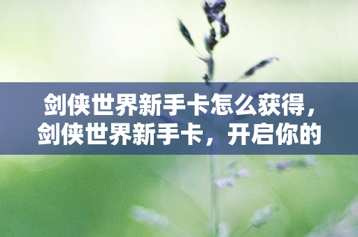 剑侠世界新手卡怎么获得,剑侠世界新手卡,开启你的武侠之旅 剑侠世界新手卡怎么获得,剑侠世界新手卡,开启你的武侠之旅