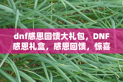 dnf感恩回馈大礼包，DNF感恩礼盒，感恩回馈，惊喜连连