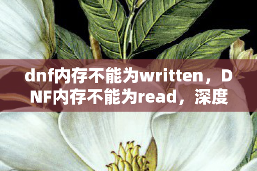 dnf内存不能为written,DNF内存不能为read,深度解析游戏异常与解决方案 dnf内存不能为written,DNF内存不能为read,深度解析游戏异常与解决方案