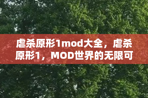 虐杀原形1mod大全,虐杀原形1,MOD世界的无限可能 虐杀原形1mod大全,虐杀原形1,MOD世界的无限可能
