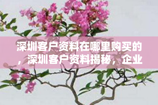 深圳客户资料在哪里购买的，深圳客户资料揭秘，企业数据安全的隐忧与应对