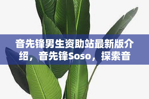 音先锋男生资助站最新版介绍,音先锋Soso,探索音乐世界的无限可能 音先锋男生资助站最新版介绍,音先锋Soso,探索音乐世界的无限可能