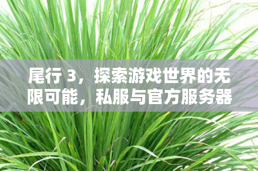尾行 3,探索游戏世界的无限可能,私服与官方服务器的独特魅力 尾行 3,探索游戏世界的无限可能,私服与官方服务器的独特魅力