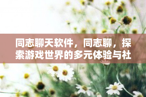 同志聊天软件,同志聊,探索游戏世界的多元体验与社交互动 同志聊天软件,同志聊,探索游戏世界的多元体验与社交互动