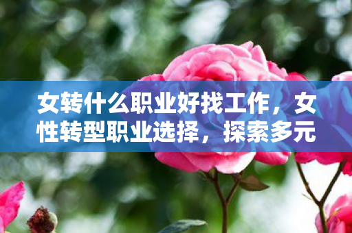女转什么职业好找工作,女性转型职业选择,探索多元发展路径 女转什么职业好找工作,女性转型职业选择,探索多元发展路径