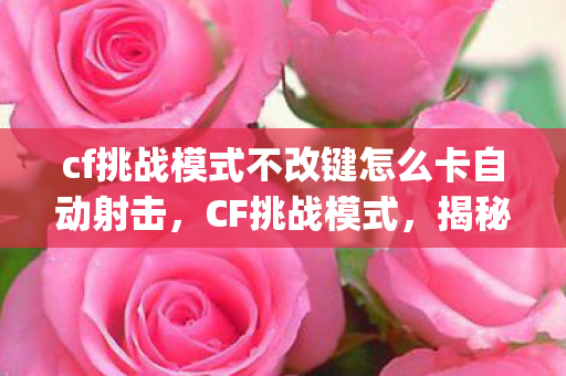 cf挑战模式不改键怎么卡自动射击,CF挑战模式,揭秘那些影响游戏体验的bug cf挑战模式不改键怎么卡自动射击,CF挑战模式,揭秘那些影响游戏体验的bug