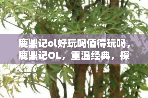鹿鼎记ol好玩吗值得玩吗,鹿鼎记OL,重温经典,探索武侠世界的乐趣 鹿鼎记ol好玩吗值得玩吗,鹿鼎记OL,重温经典,探索武侠世界的乐趣