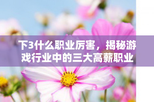 下3什么职业厉害,揭秘游戏行业中的三大高薪职业 下3什么职业厉害,揭秘游戏行业中的三大高薪职业