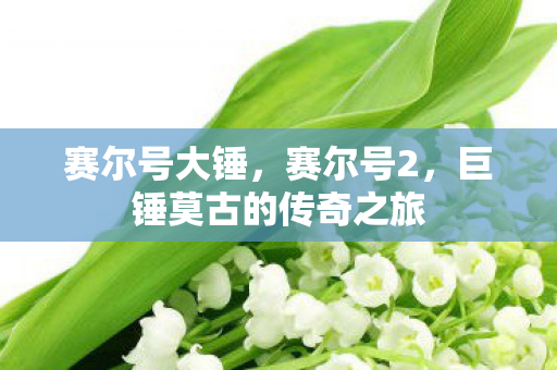 赛尔号大锤,赛尔号2,巨锤莫古的传奇之旅 赛尔号大锤,赛尔号2,巨锤莫古的传奇之旅