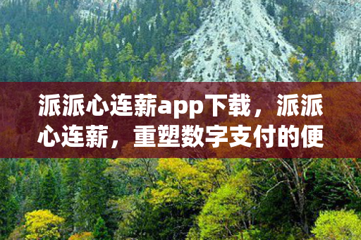 派派心连薪app下载，派派心连薪，重塑数字支付的便捷与安全