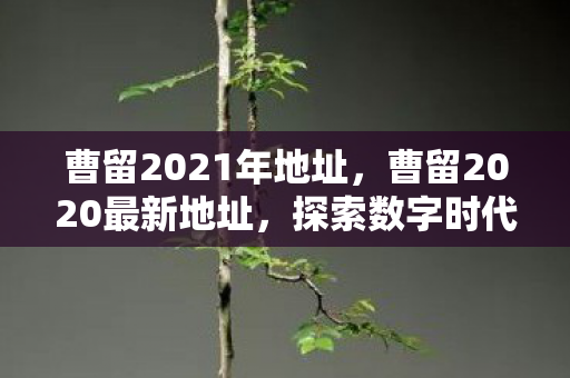 曹留2021年地址，曹留2020最新地址，探索数字时代的文化新地标