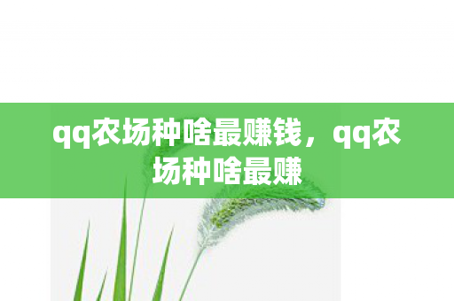 qq农场种啥最赚钱,qq农场种啥最赚 qq农场种啥最赚钱,qq农场种啥最赚